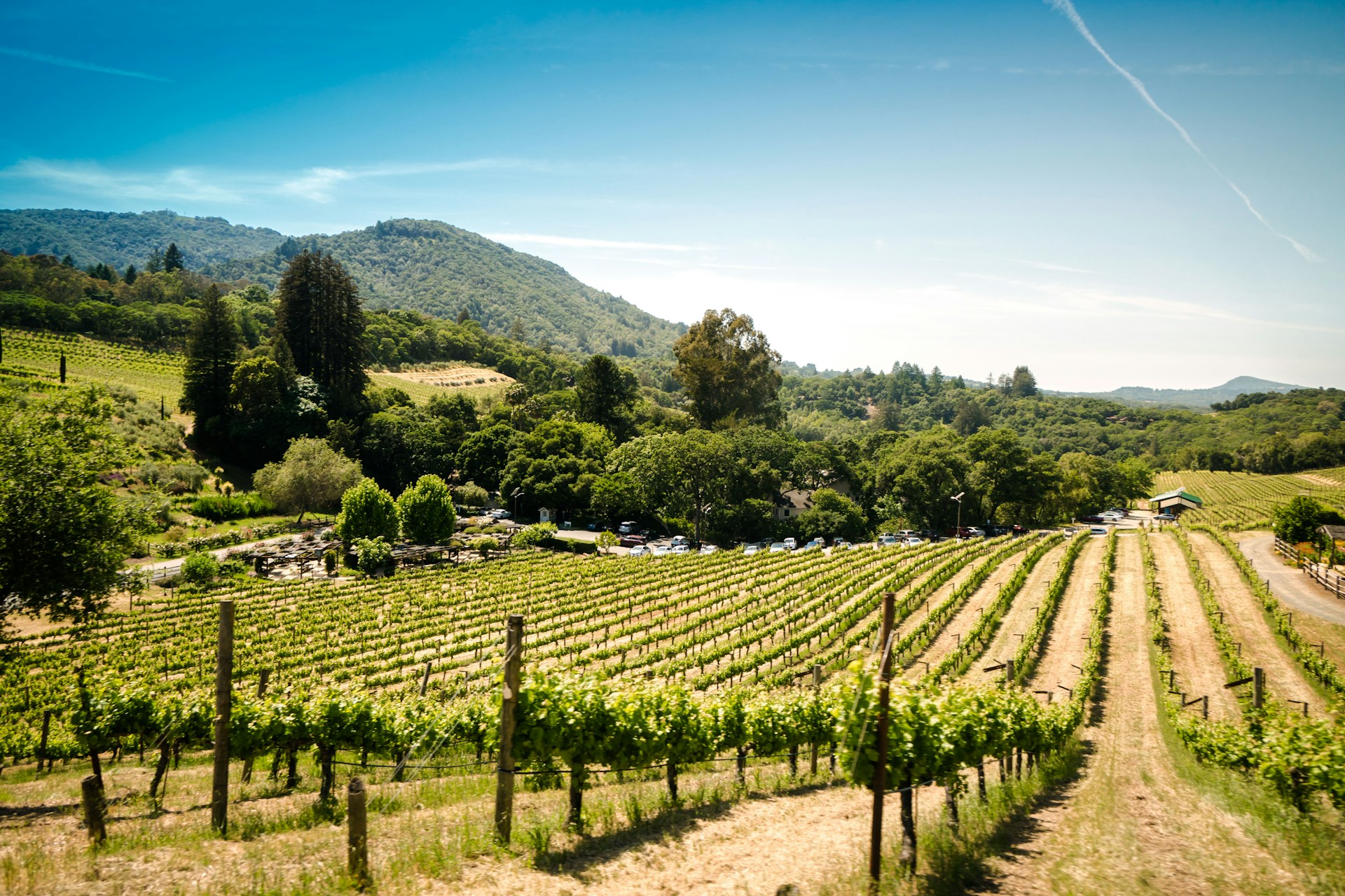 Wineries to Try in Victoria