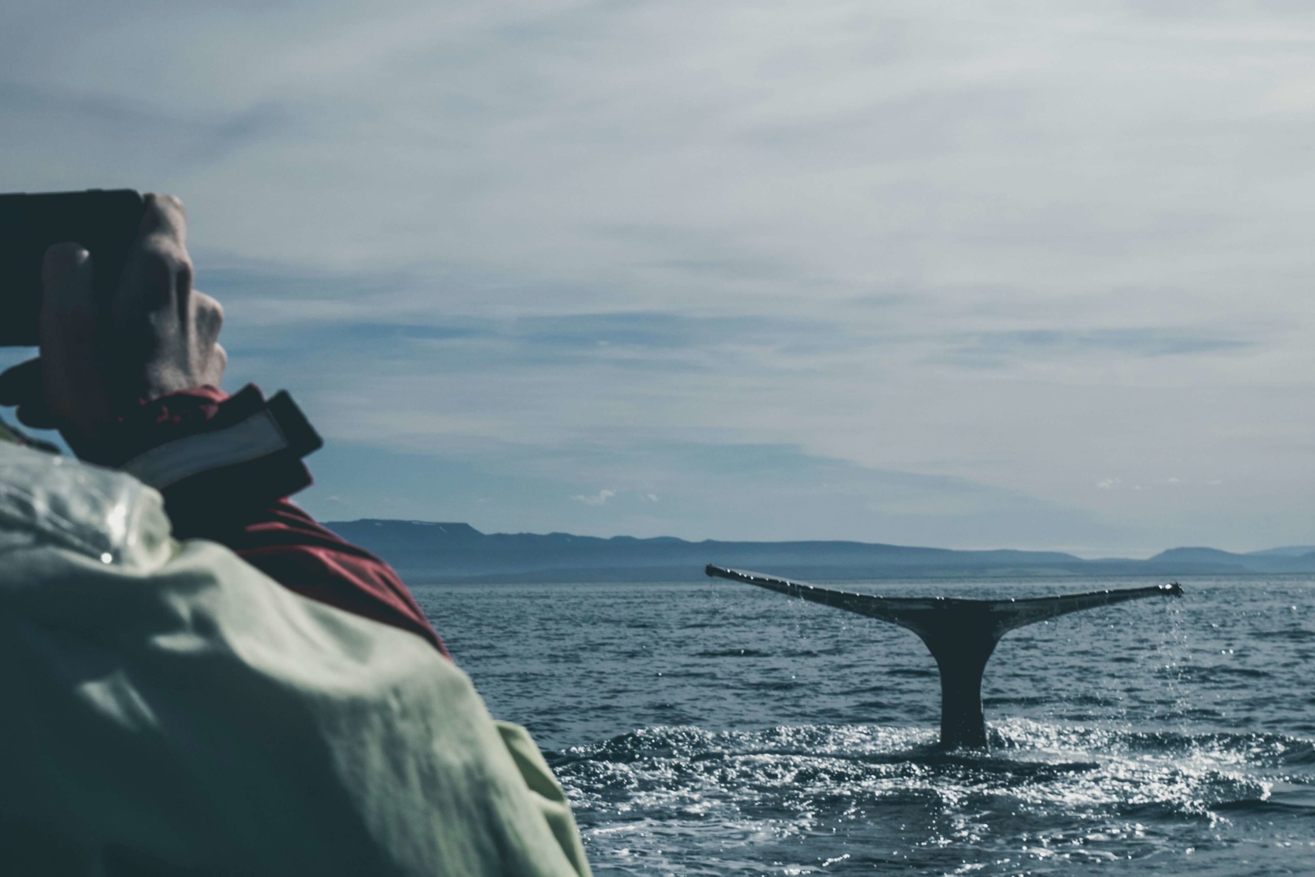Some of our favourite Victoria summer activities!