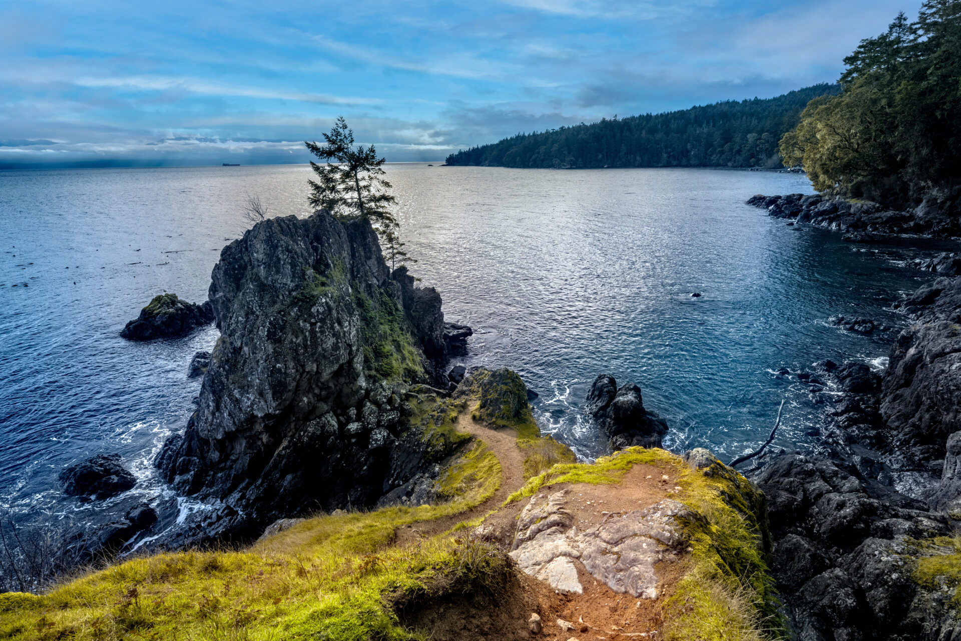 A coastal trail in the scenic East Sooke Regional Park, stunning waterscape in the background