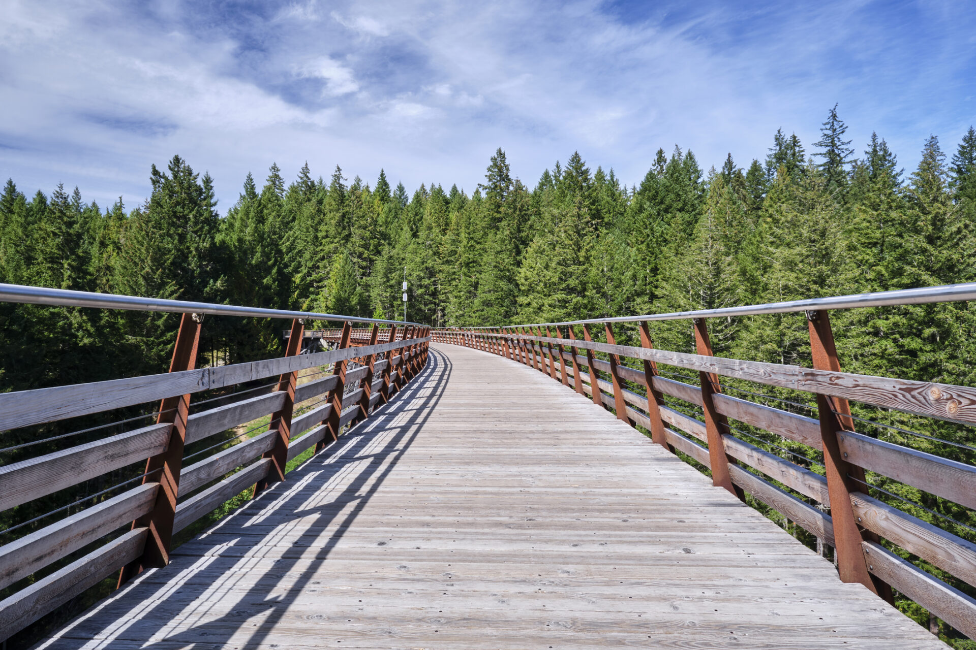 A view along the path of the Kinsol Trestle rail bridge as it curves into the trees on the opposite side of the Koksilah river.