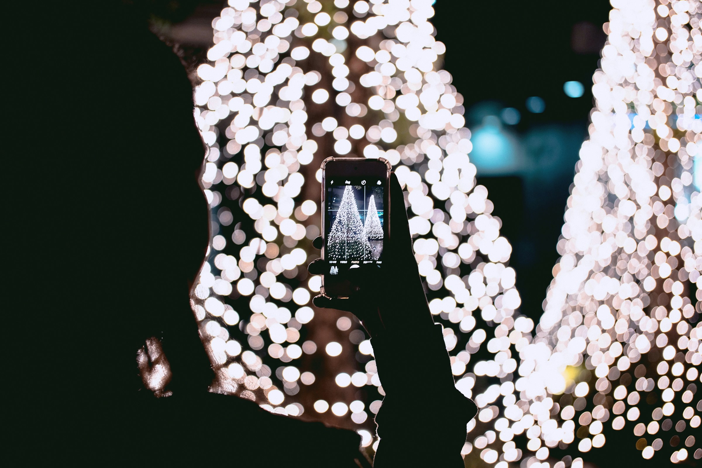 Event Feature: Lights of Wonder