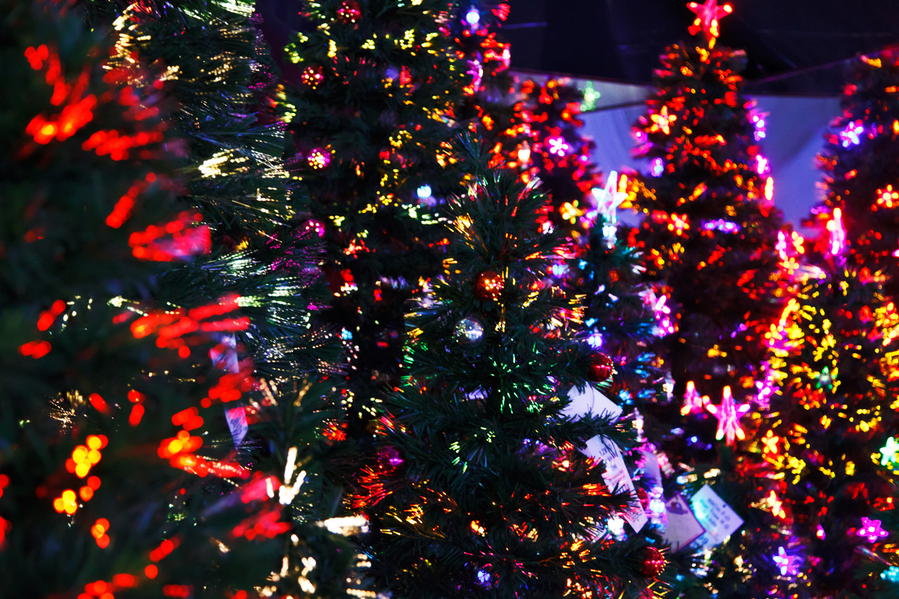 Victoria transforms this Christmas!